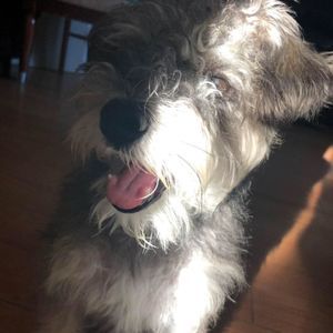 Meet your Posher, Sally